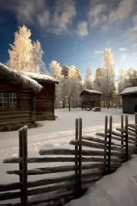 swedish winter