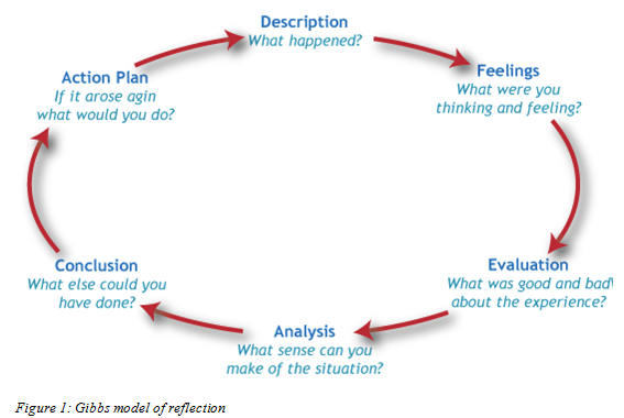 How to Write a Reflection Paper: Example & Reflection Writing Guide