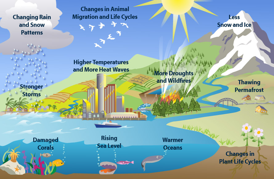 Essay: The Greenhouse Effect