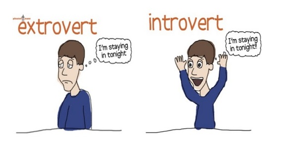 Introvert meaning