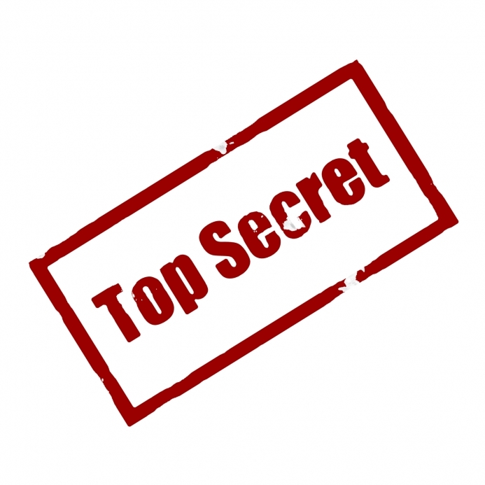 My Secrets: Free Reflective Essay Sample