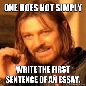 introduction essay meme