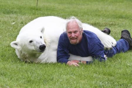 polar bear pet