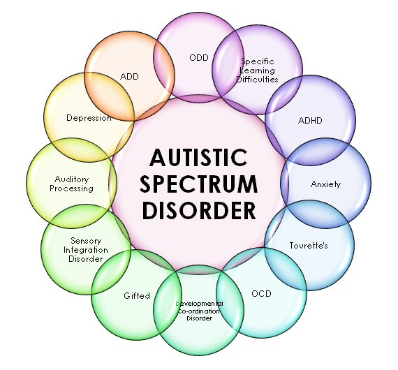 what-are-the-different-levels-of-autism