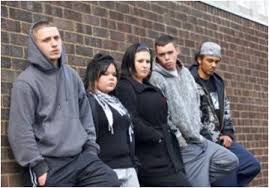 Problem of Teen Gangs Essay Sample AcademicHelp