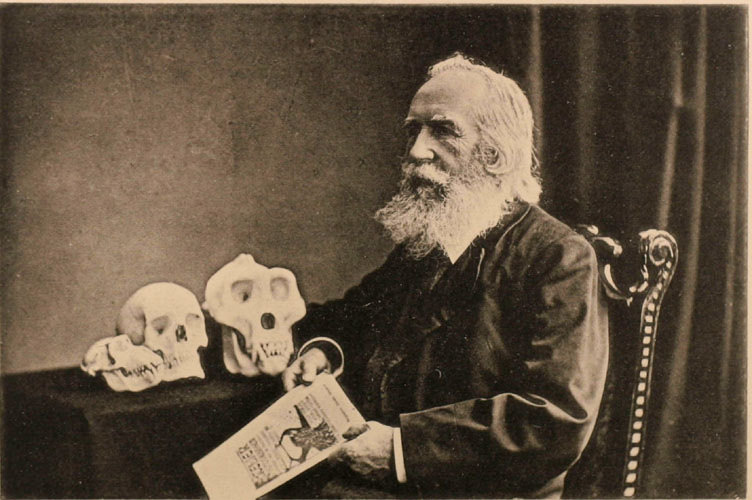 Portrait photograph of Haeckel as human evolutionist (1907).