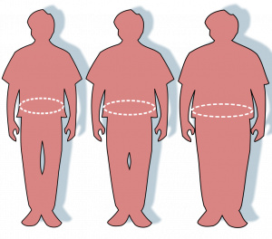 The Most Obese Countries in the World and Why They Are on the List Essay Sample, Example