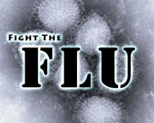 The Flu Essay Sample, Example