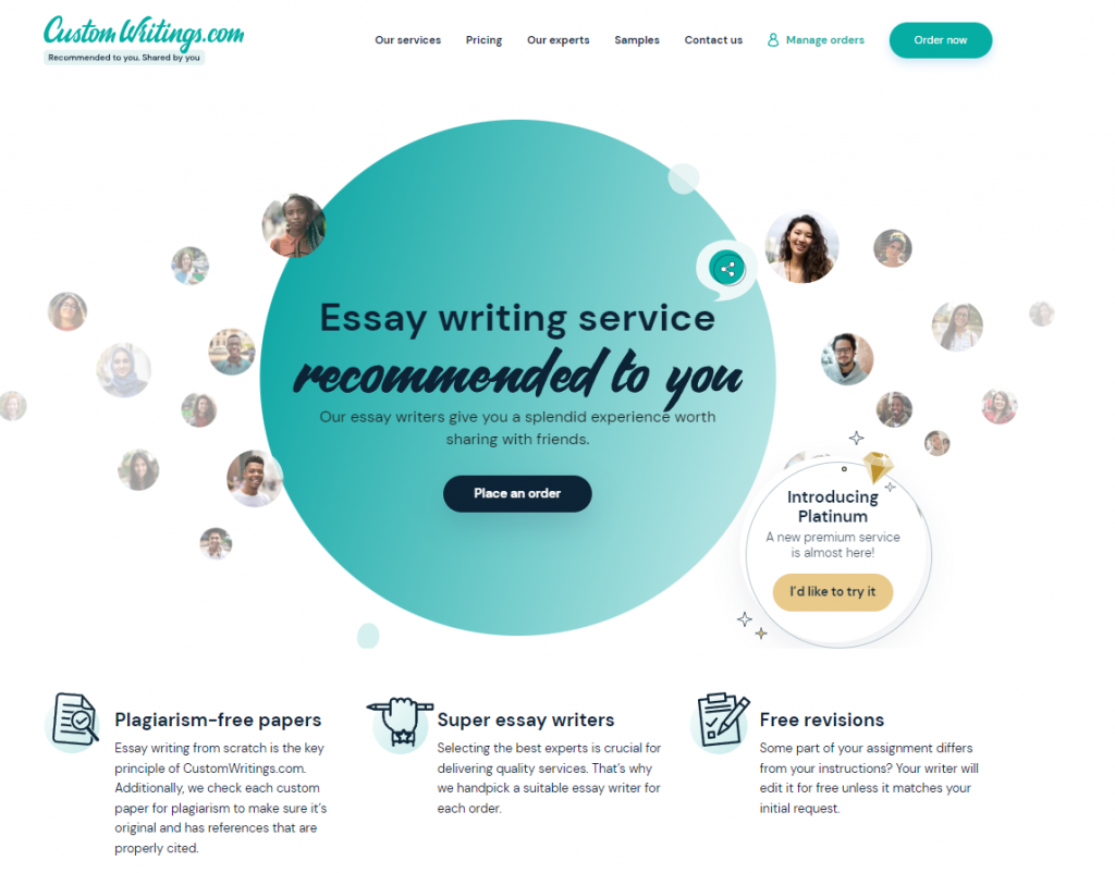 essay writing service review