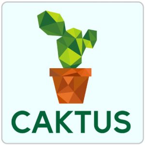 Caktus.ai service logo