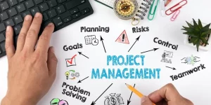 project management