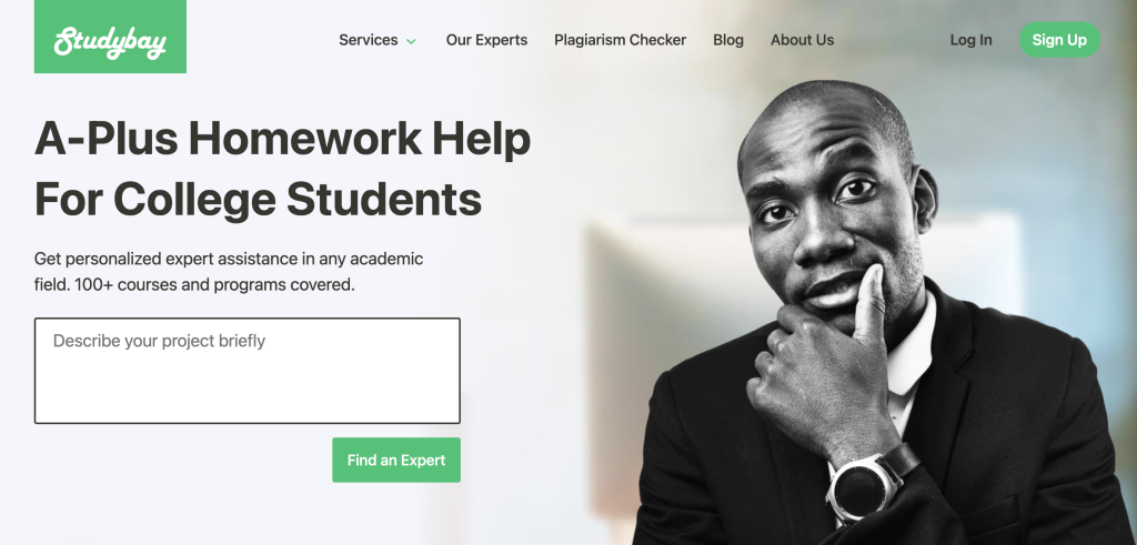 A screenshot of the StudyBay homepage