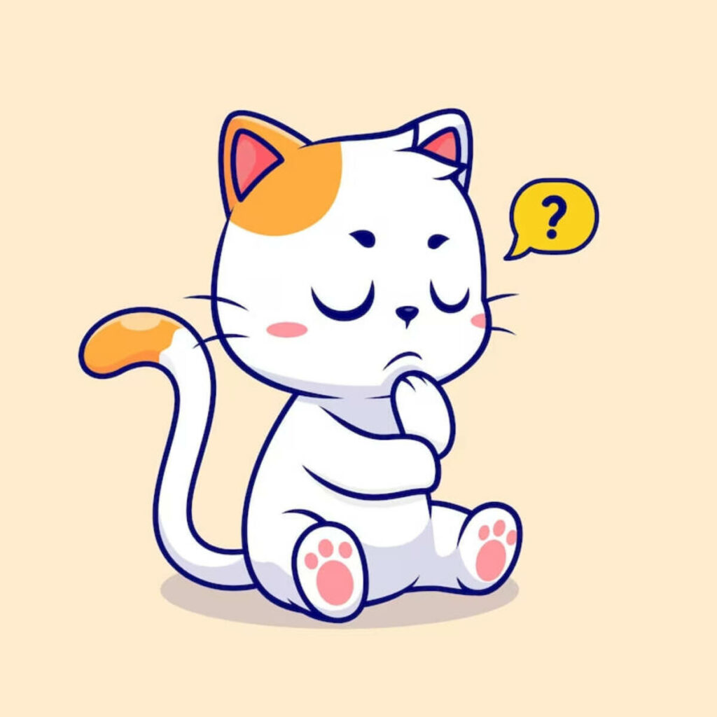 How to say “I don't know” in Spanish