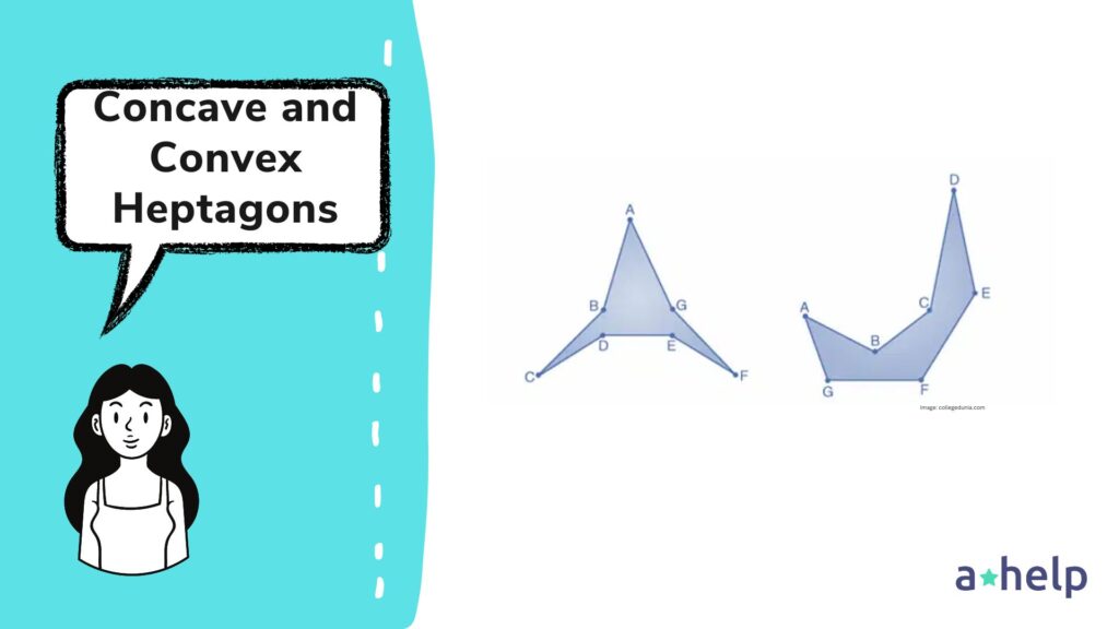 Concave and Convex Heptagon