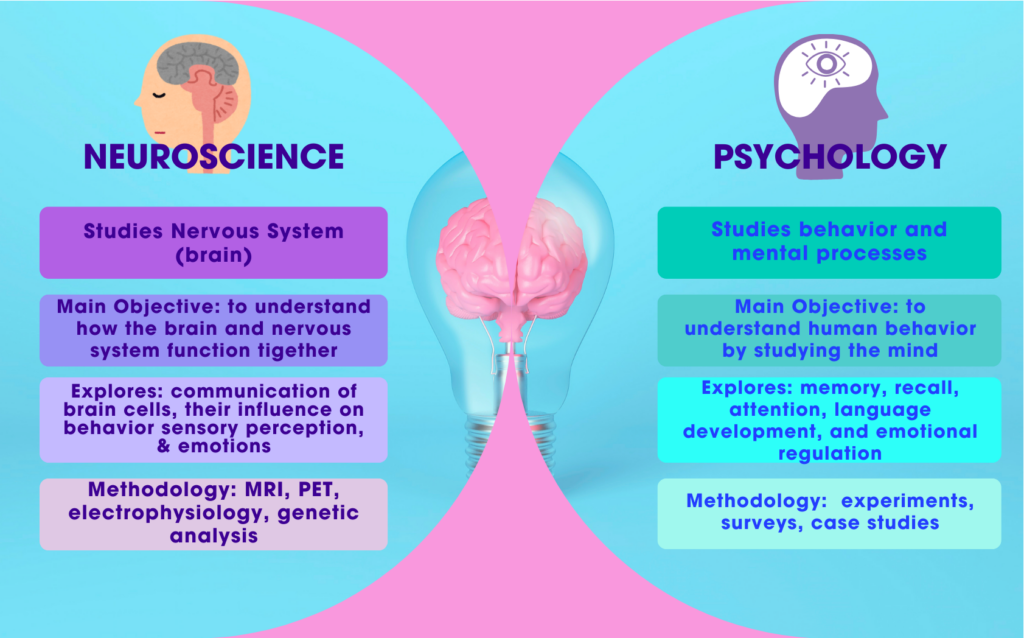 An image Comparing Neuroscience vs Psychology