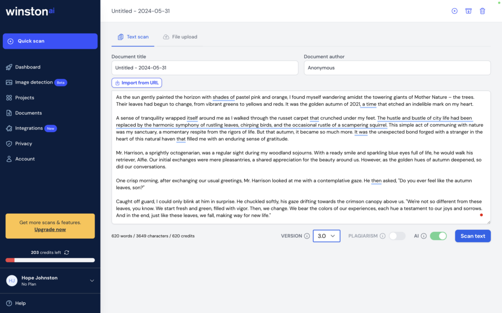 Text scan window at Winston AI