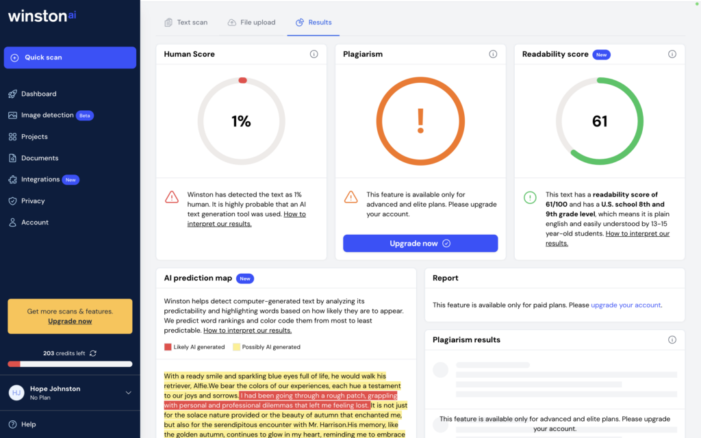 A screenshot of Detection results at WinstonAI 
