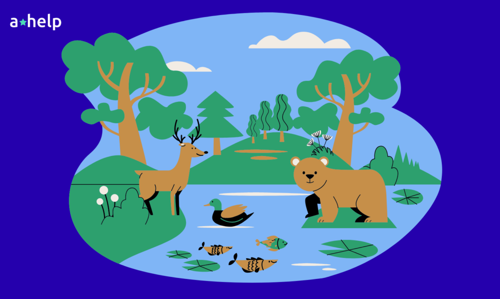 Climate Change and Its Effects on Local Ecosystems