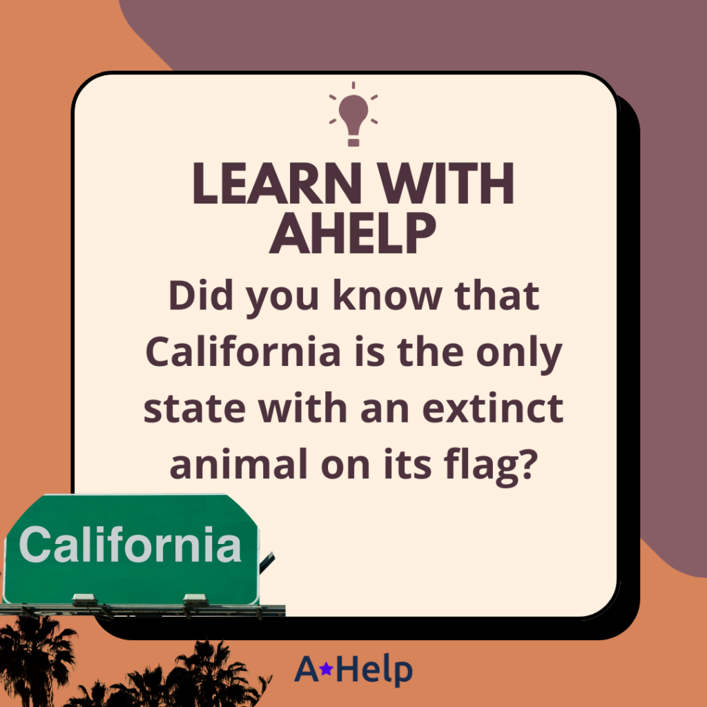 california state flag