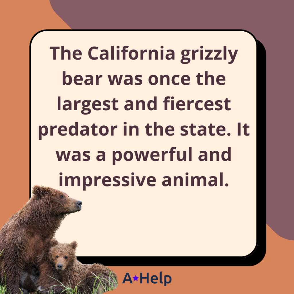 what bear is on the california flag