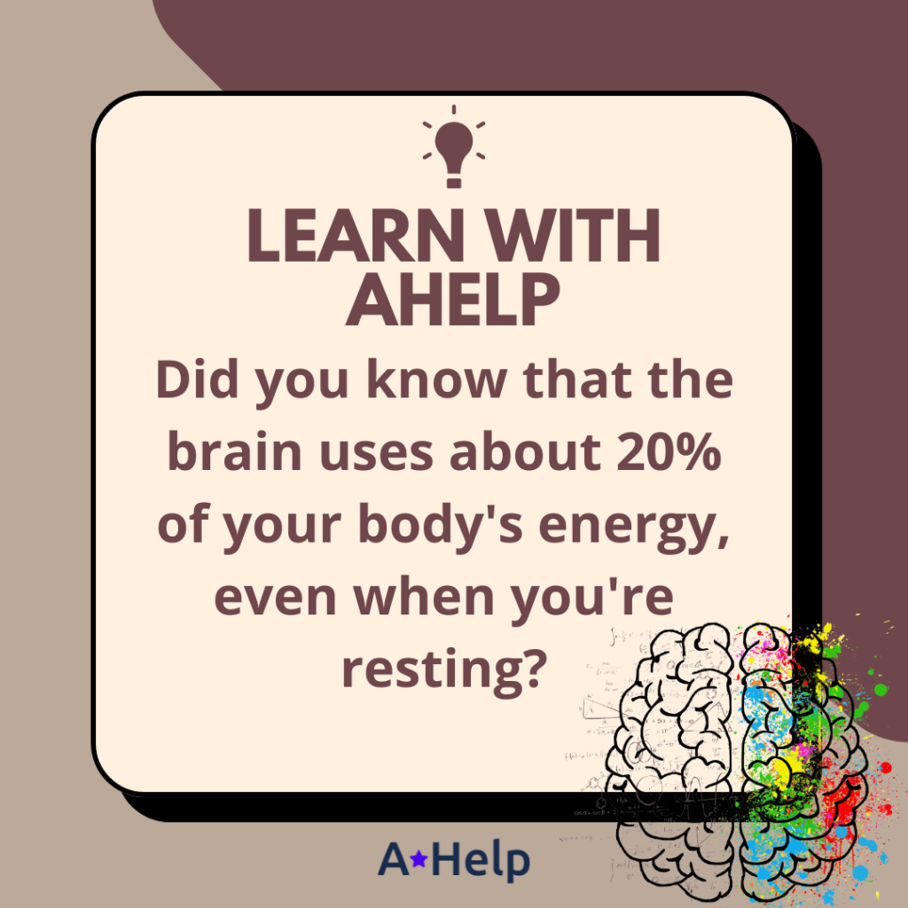 how much energy does the brain use