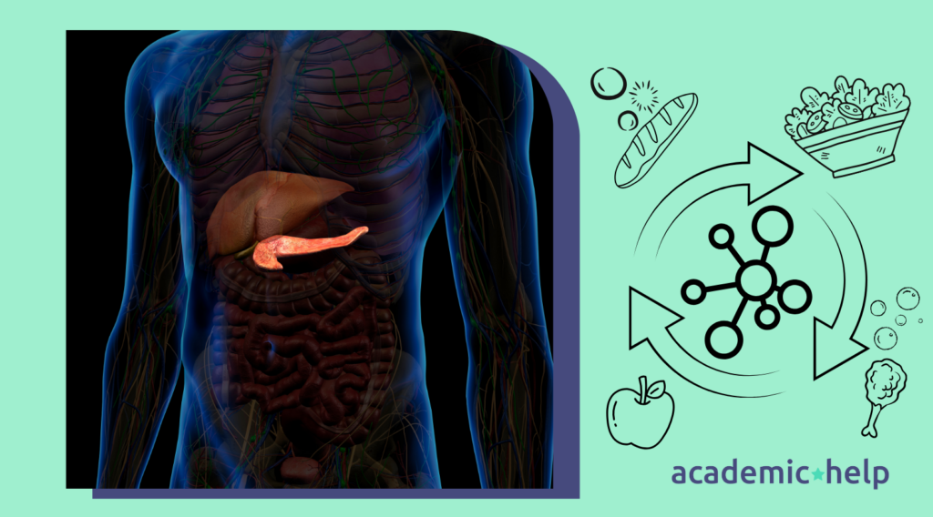 A*Helpful Fact: Only 12% of Americans Know How to Be Metabolically Healthy