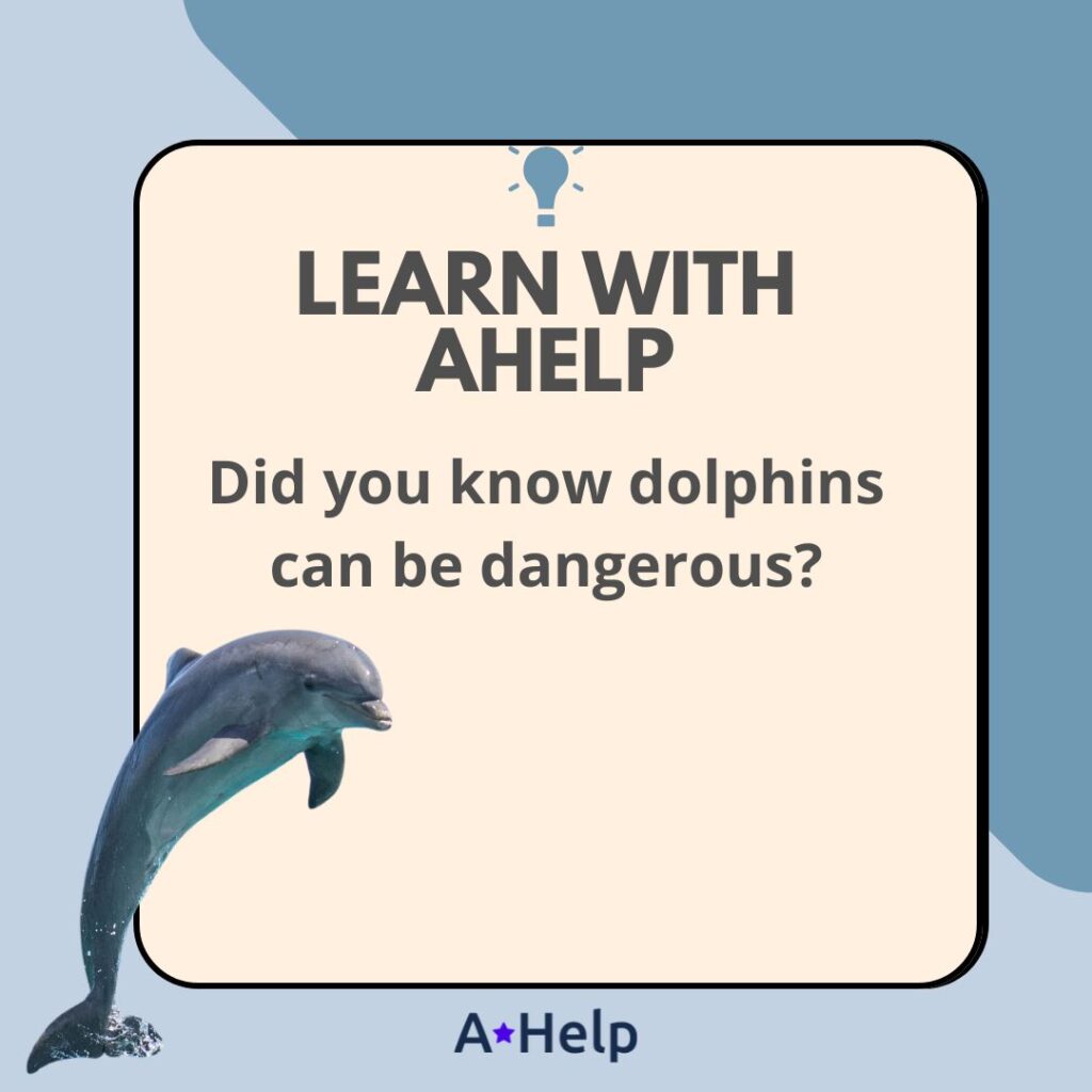 are dolphins dangerous