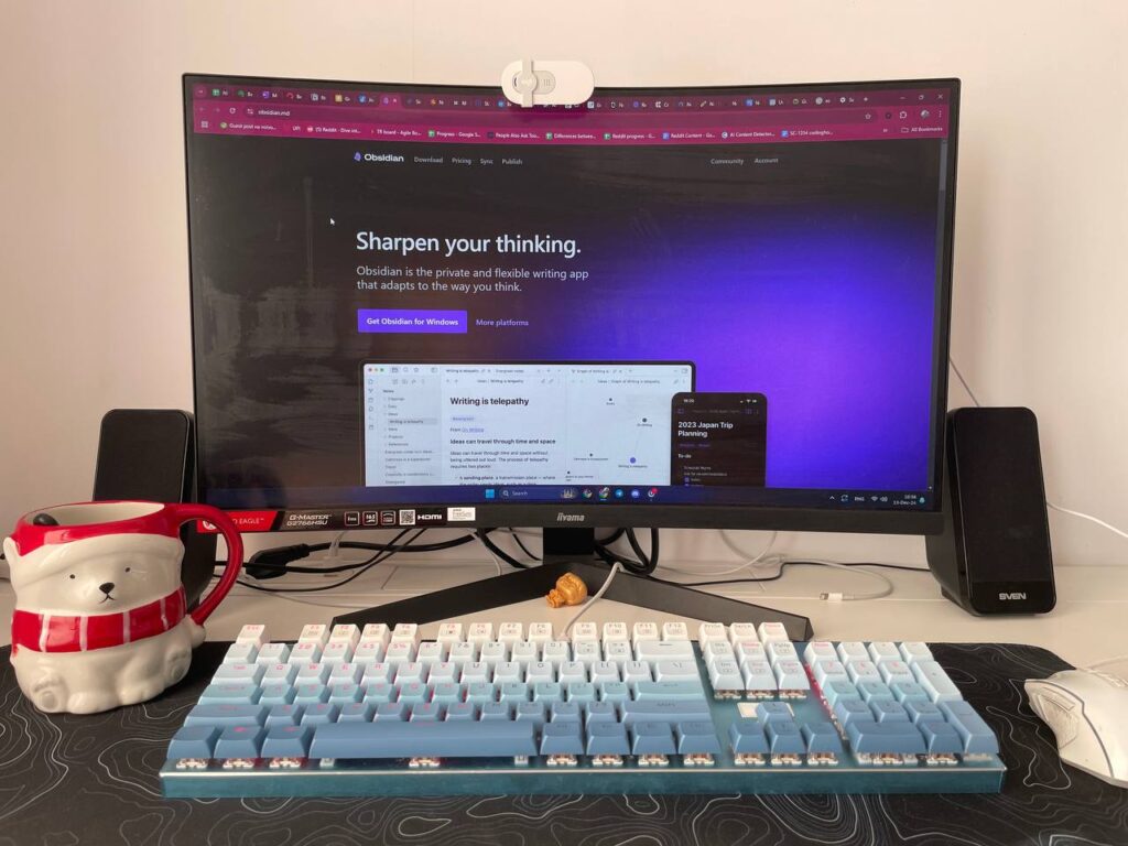 Obsidian Notes Review 2025