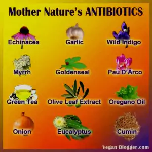 antibiotics