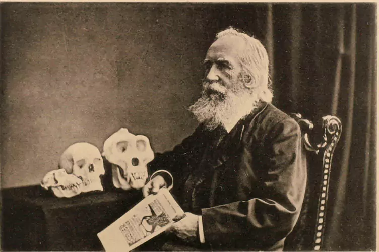 Portrait photograph of Haeckel as human evolutionist (1907).