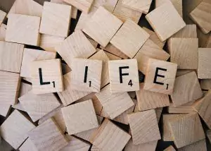 What Is Life? Essay Sample, Example