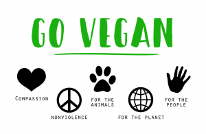 Vegan Essay Sample, Example