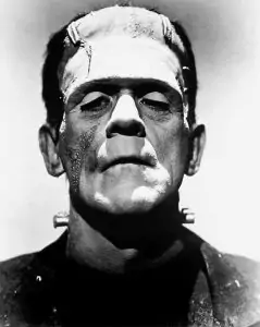 Interpretations of Frankenstein Essay Sample, Example