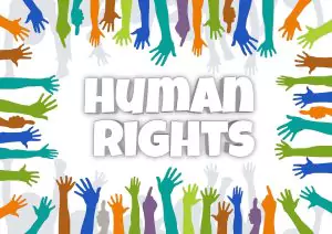 Human Rights Essay Sample, Example
