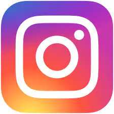 How Instagram Started Essay Sample, Example