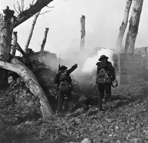 Causes of World War I Essay Sample, Example