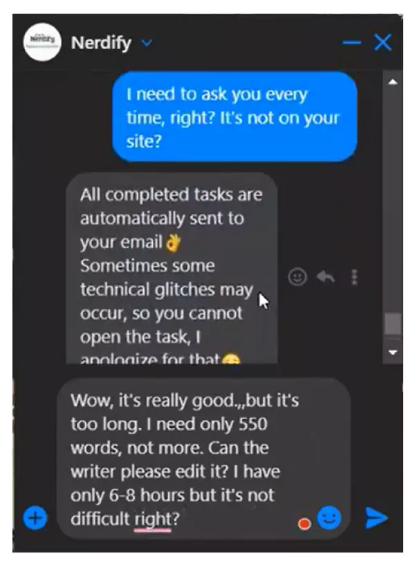 A screenshot of the conversation with Nerify's support