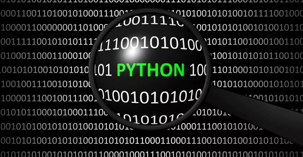 Discover Python: The Perfect Starting Point for Coding Beginners