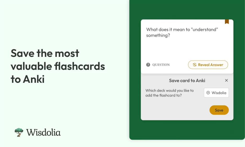 Wisdolia Review: The AI-Powered Flashcard Generator