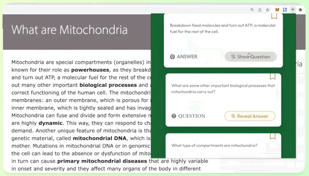 Wisdolia Review: The AI-Powered Flashcard Generator