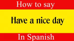 How do you say have a good day in spanish