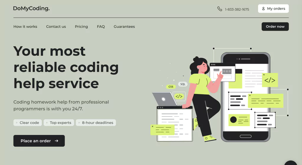 A screenshot of the DoMyCoding homepage from the list of python help services