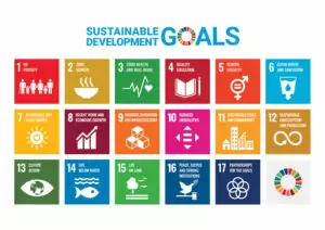 Sustainable Development Goals (SDGs) Thesis Statement Examples