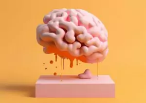 Quora Discusses How Language Learning Enhances Neuroplasticity