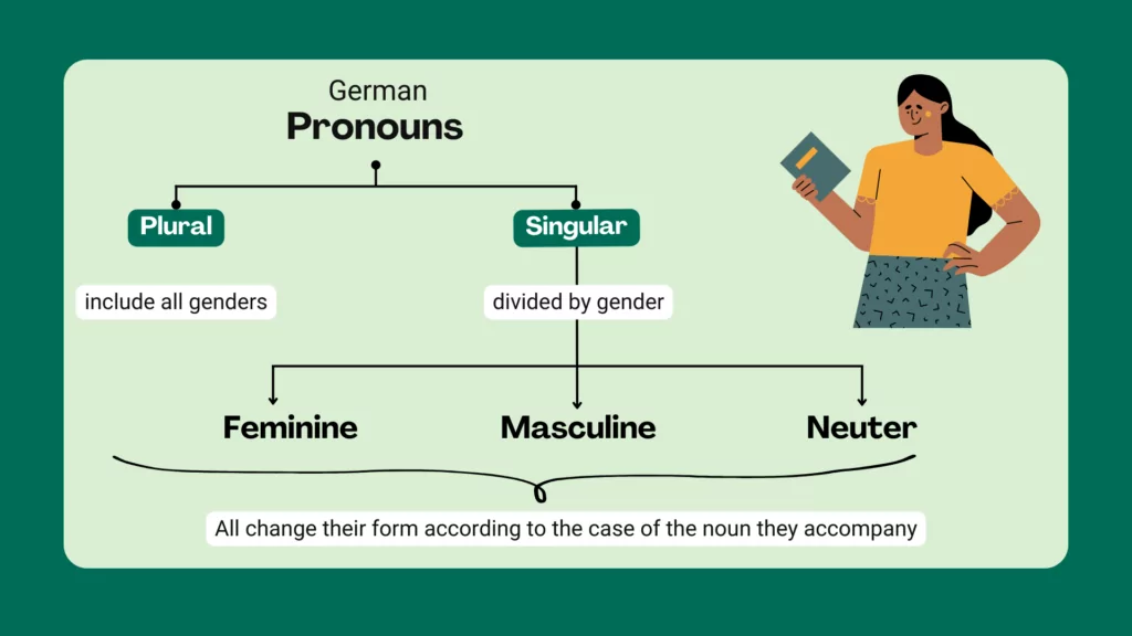 A picture that describes the fact of pronouns in german explained in the aticle