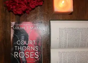 A Court Of Thorns And Roses Summary