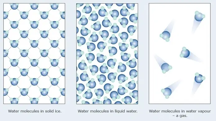 Why Does Ice Float on Water?