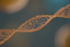 CRISPR Technology in Medicine and Agriculture