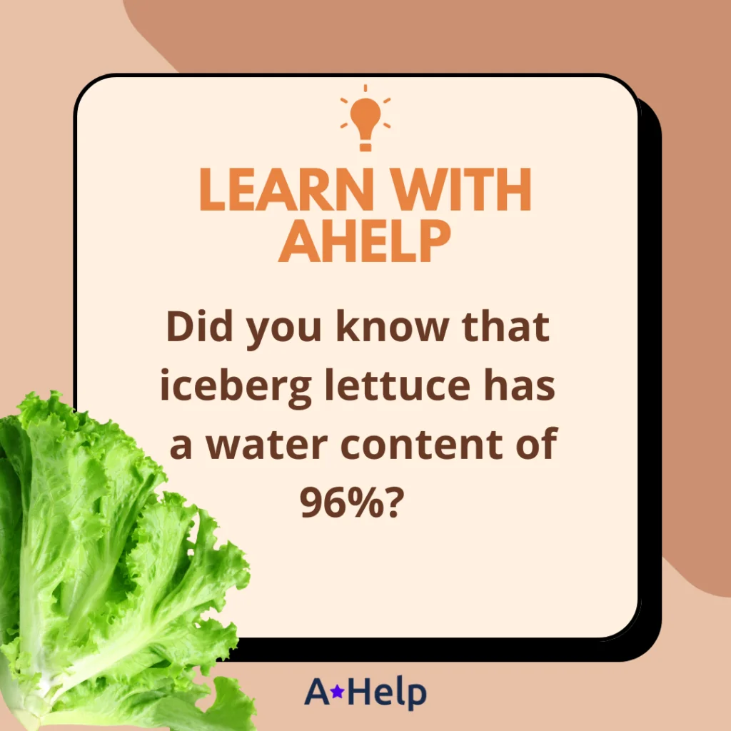 iceberg lettuce water content