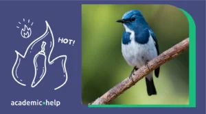 A*Helpful Fact: Some Birds Like to Snack On Hot Pepper